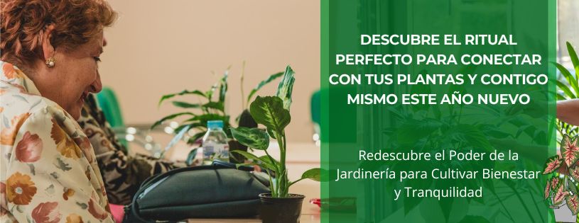 Descubre el ritual perfecto para conectar con tus plantas y contigo mismo este año nuevo • Plantas para la Vida • Hero